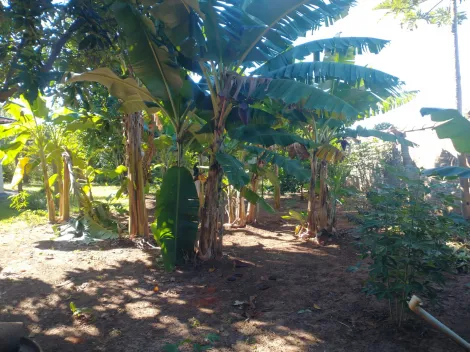 Comprar Rural / Ch&aacute;cara em Guapia&ccedil;u R$ 380.000,00 - Foto 16