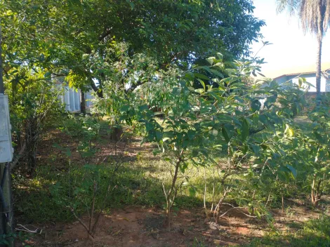 Comprar Rural / Ch&aacute;cara em Guapia&ccedil;u R$ 380.000,00 - Foto 18