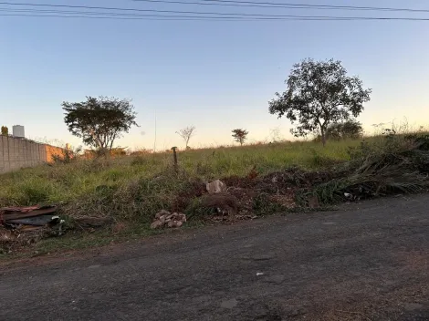 Comprar Rural / Ch&aacute;cara em S&atilde;o Jos&eacute; do Rio Preto R$ 1.200.000,00 - Foto 5