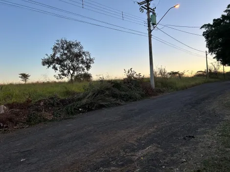 Comprar Rural / Ch&aacute;cara em S&atilde;o Jos&eacute; do Rio Preto R$ 1.200.000,00 - Foto 7
