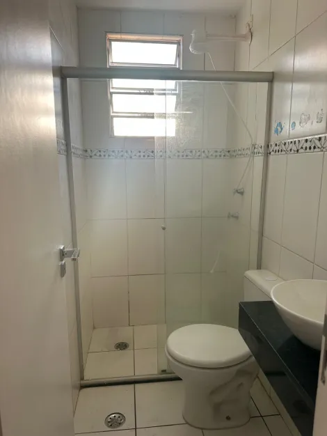 Alugar Apartamento / Padr&atilde;o em S&atilde;o Jos&eacute; do Rio Preto R$ 1.200,00 - Foto 13