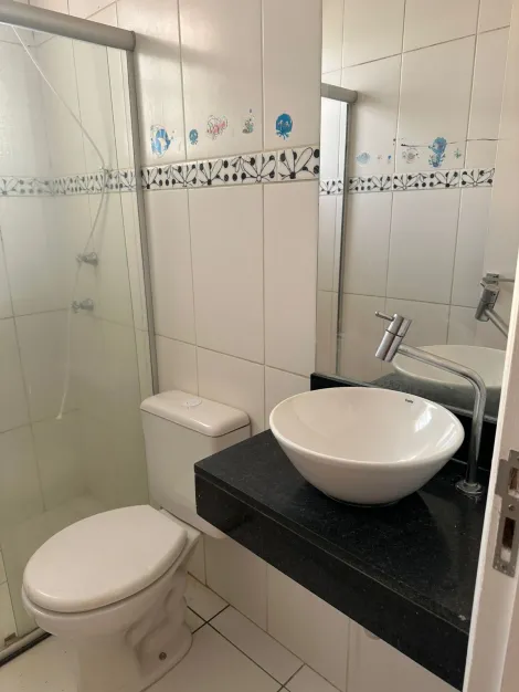 Alugar Apartamento / Padr&atilde;o em S&atilde;o Jos&eacute; do Rio Preto R$ 1.200,00 - Foto 15