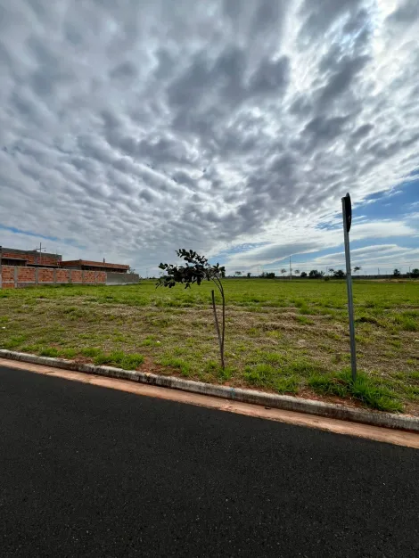 Terreno / Condom&iacute;nio em S&atilde;o Jos&eacute; do Rio Preto 