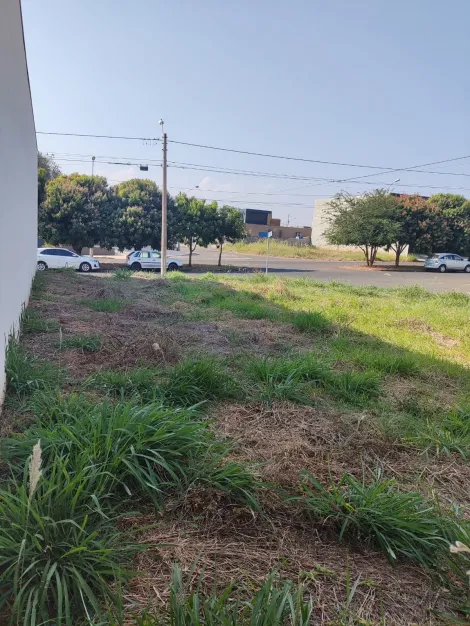 Comprar Terreno / Padr&atilde;o em Bady Bassitt R$ 235.000,00 - Foto 6