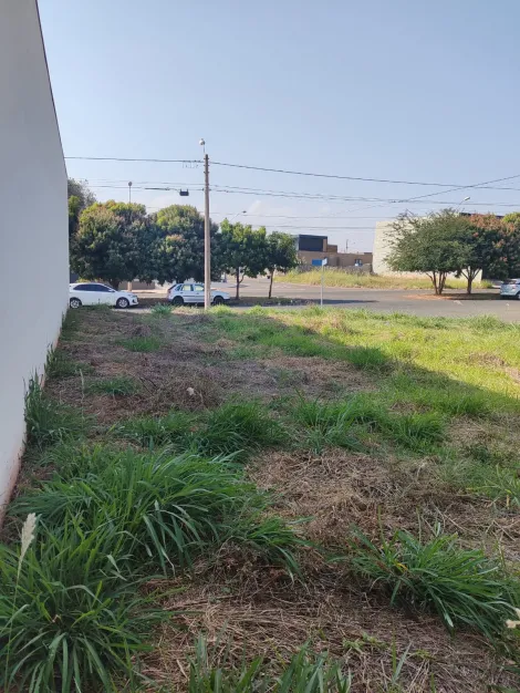 Comprar Terreno / Padr&atilde;o em Bady Bassitt R$ 235.000,00 - Foto 7