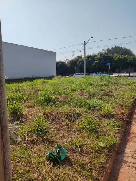 Comprar Terreno / Padr&atilde;o em Bady Bassitt R$ 235.000,00 - Foto 8