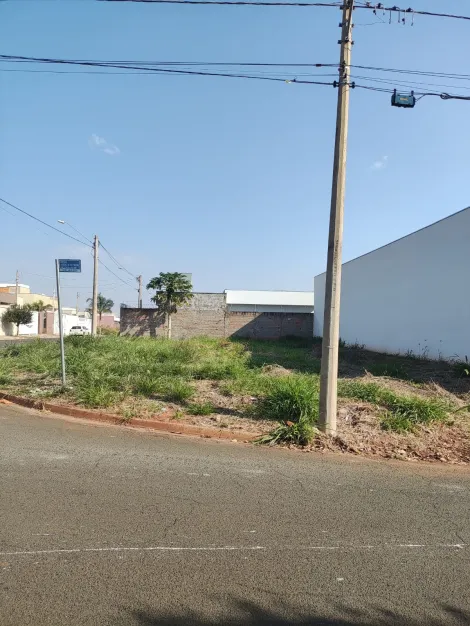 Comprar Terreno / Padr&atilde;o em Bady Bassitt R$ 235.000,00 - Foto 4