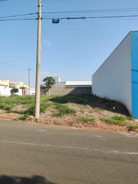 Comprar Terreno / Padr&atilde;o em Bady Bassitt R$ 235.000,00 - Foto 5