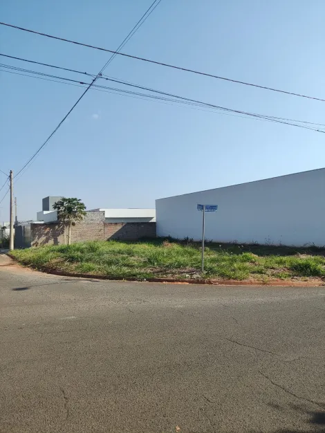 Comprar Terreno / Padr&atilde;o em Bady Bassitt R$ 235.000,00 - Foto 3