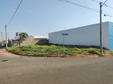 Comprar Terreno / Padr&atilde;o em Bady Bassitt R$ 235.000,00 - Foto 2