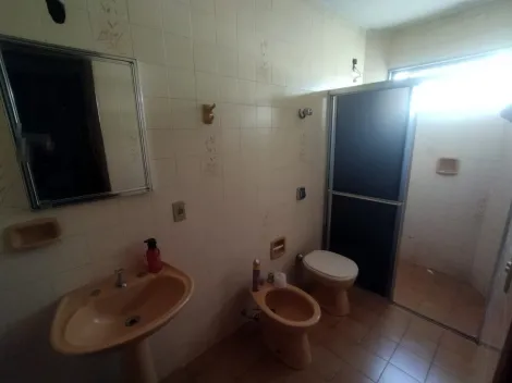 Alugar Apartamento / Padr&atilde;o em S&atilde;o Jos&eacute; do Rio Preto R$ 1.590,00 - Foto 13