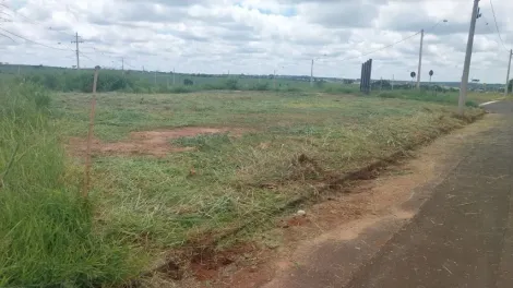 Terreno / Padr&atilde;o em S&atilde;o Jos&eacute; do Rio Preto 