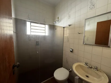 Alugar Casa / Padr&atilde;o em S&atilde;o Jos&eacute; do Rio Preto R$ 4.800,00 - Foto 9