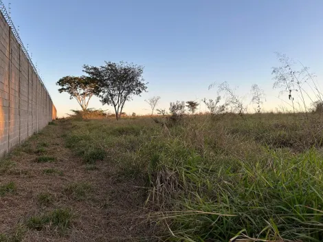 Comprar Rural / Ch&aacute;cara em S&atilde;o Jos&eacute; do Rio Preto R$ 600.000,00 - Foto 3