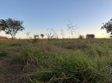 Comprar Rural / Ch&aacute;cara em S&atilde;o Jos&eacute; do Rio Preto R$ 600.000,00 - Foto 4