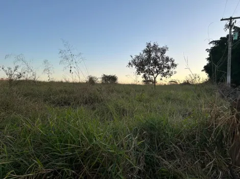 Comprar Rural / Ch&aacute;cara em S&atilde;o Jos&eacute; do Rio Preto R$ 600.000,00 - Foto 6