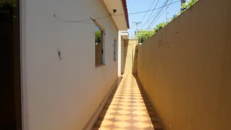 Alugar Casa / Padr&atilde;o em S&atilde;o Jos&eacute; do Rio Preto R$ 3.000,00 - Foto 11