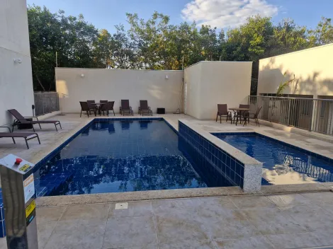 Alugar Apartamento / Padr&atilde;o em S&atilde;o Jos&eacute; do Rio Preto R$ 900,00 - Foto 9