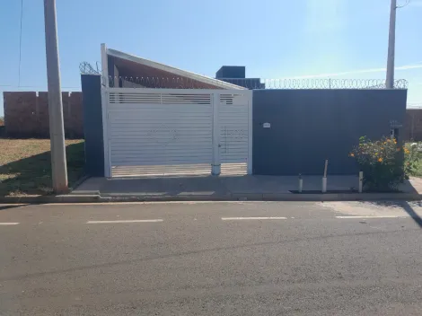 Alugar Casa / Padr&atilde;o em S&atilde;o Jos&eacute; do Rio Preto. apenas R$ 360.000,00