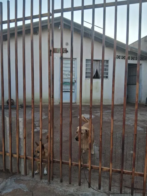 Comprar Casa / Padr&atilde;o em S&atilde;o Jos&eacute; do Rio Preto R$ 140.000,00 - Foto 10