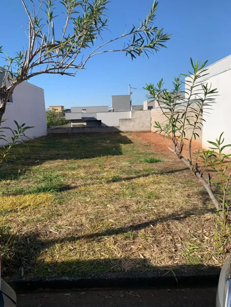 Terreno / Condom&iacute;nio em S&atilde;o Jos&eacute; do Rio Preto 