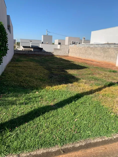 Comprar Terreno / Condom&iacute;nio em S&atilde;o Jos&eacute; do Rio Preto R$ 170.000,00 - Foto 2