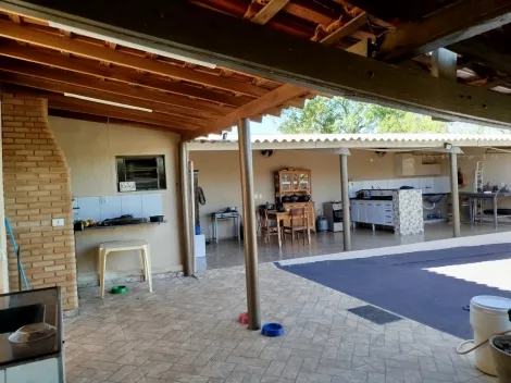 Comprar Rural / Ch&aacute;cara em Nhandeara R$ 700.000,00 - Foto 14