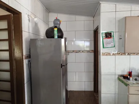 Comprar Rural / Ch&aacute;cara em Nhandeara R$ 700.000,00 - Foto 13