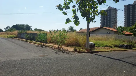 Alugar Terreno / &Aacute;rea em S&atilde;o Jos&eacute; do Rio Preto. apenas R$ 25.000.000,00