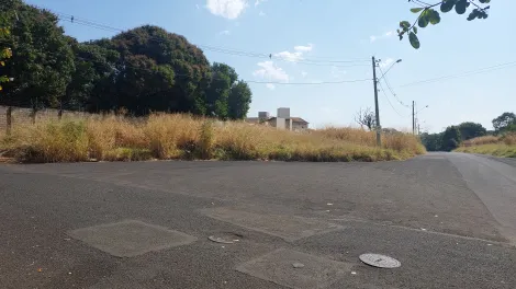 Comprar Terreno / &Aacute;rea em S&atilde;o Jos&eacute; do Rio Preto R$ 25.000.000,00 - Foto 2