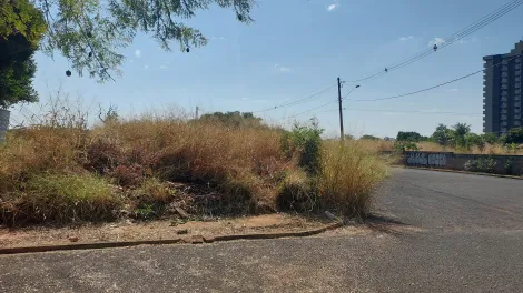 Comprar Terreno / &Aacute;rea em S&atilde;o Jos&eacute; do Rio Preto R$ 25.000.000,00 - Foto 3