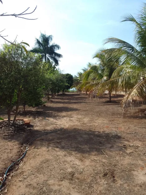 Comprar Rural / Rancho em Ubarana R$ 620.000,00 - Foto 30