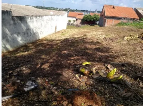 Terreno / Padr&atilde;o em S&atilde;o Jos&eacute; do Rio Preto 