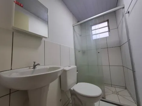 Alugar Apartamento / Padr&atilde;o em S&atilde;o Jos&eacute; do Rio Preto R$ 800,00 - Foto 10
