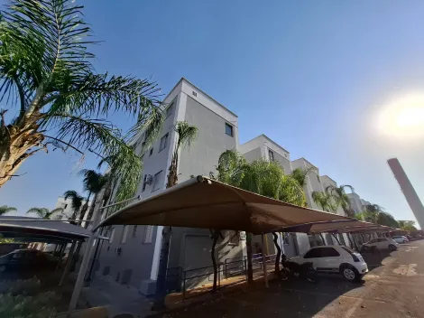 Alugar Apartamento / Padr&atilde;o em S&atilde;o Jos&eacute; do Rio Preto R$ 800,00 - Foto 13