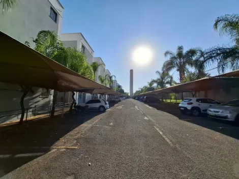 Alugar Apartamento / Padr&atilde;o em S&atilde;o Jos&eacute; do Rio Preto R$ 800,00 - Foto 14