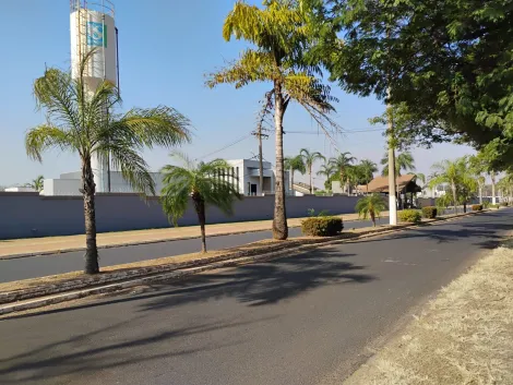 Comprar Terreno / Condom&iacute;nio em Ibir&aacute; R$ 210.000,00 - Foto 3