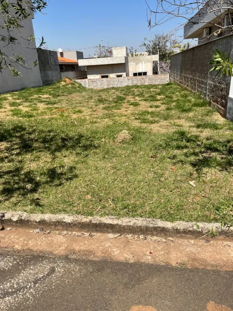 Comprar Terreno / Condom&iacute;nio em S&atilde;o Jos&eacute; do Rio Preto R$ 160.000,00 - Foto 2