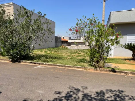 Comprar Terreno / Condom&iacute;nio em S&atilde;o Jos&eacute; do Rio Preto R$ 160.000,00 - Foto 3
