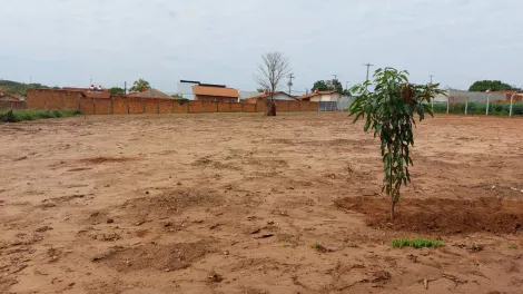 Comprar Rural / Ch&aacute;cara em S&atilde;o Jos&eacute; do Rio Preto R$ 570.000,00 - Foto 17