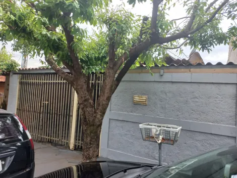 Alugar Casa / Padr&atilde;o em S&atilde;o Jos&eacute; do Rio Preto. apenas R$ 350.000,00