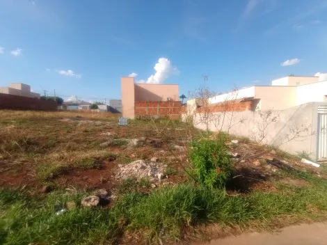 Alugar Terreno / Padr&atilde;o em S&atilde;o Jos&eacute; do Rio Preto. apenas R$ 85.000,00