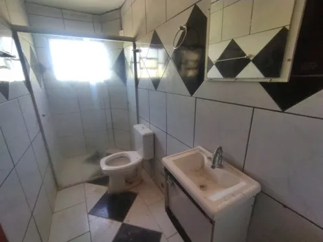 Alugar Apartamento / Padr&atilde;o em S&atilde;o Jos&eacute; do Rio Preto R$ 1.200,00 - Foto 12