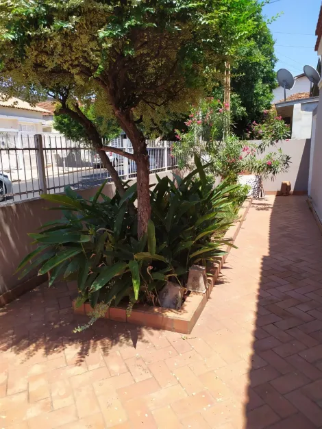 Alugar Casa / Padr&atilde;o em Mirassol. apenas R$ 520.000,00