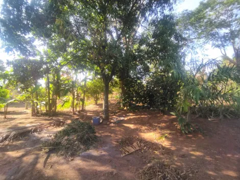 Comprar Rural / Ch&aacute;cara em S&atilde;o Jos&eacute; do Rio Preto R$ 430.000,00 - Foto 19