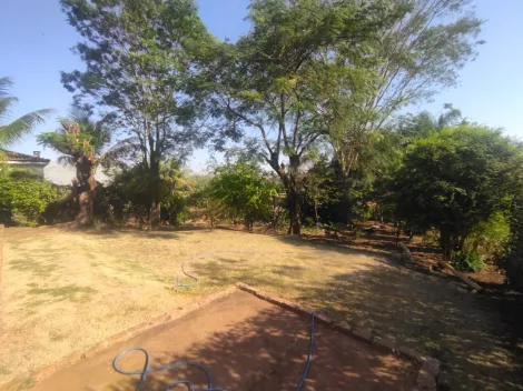 Comprar Rural / Ch&aacute;cara em S&atilde;o Jos&eacute; do Rio Preto R$ 430.000,00 - Foto 15