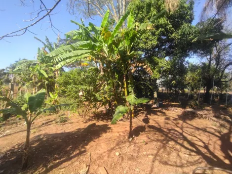 Comprar Rural / Ch&aacute;cara em S&atilde;o Jos&eacute; do Rio Preto R$ 430.000,00 - Foto 16