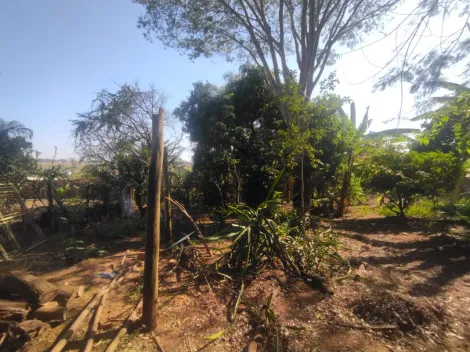 Comprar Rural / Ch&aacute;cara em S&atilde;o Jos&eacute; do Rio Preto R$ 430.000,00 - Foto 17