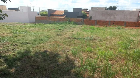 Terreno / Padr&atilde;o em Mirassol 
