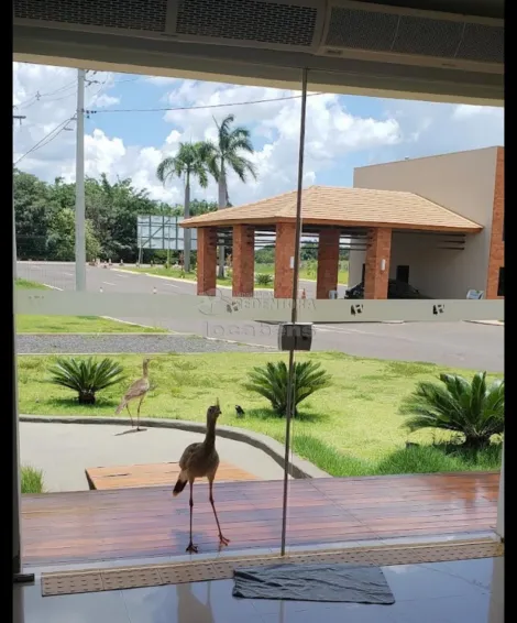 Comprar Terreno / Condom&iacute;nio em Bady Bassitt R$ 380.000,00 - Foto 11